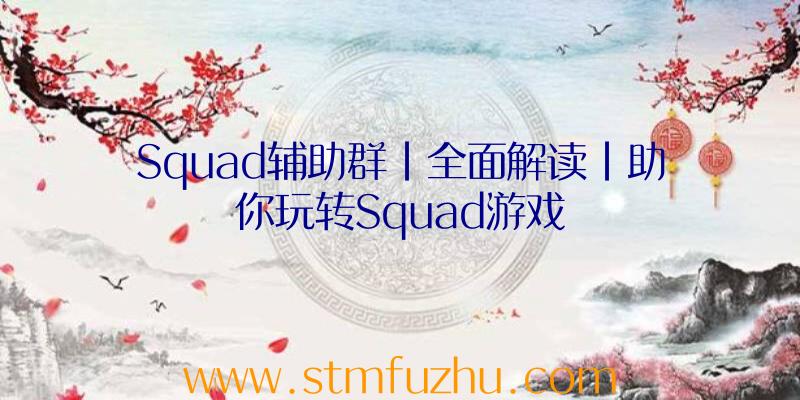 Squad辅助群|全面解读|助你玩转Squad游戏